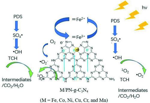 Activation of Peroxodisulfate Coupled with Photocatalysis by Pyrrolic N-Rich Fe-N4 Sites for High Efficiency Degradation of Tetracycline Hydrochloride