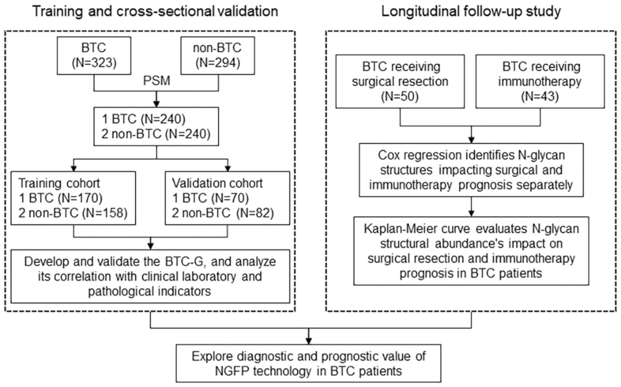 N-glycan signatures identified in the serum from biliary tract cancer patients: Association with clinical diagnosis and prognosis