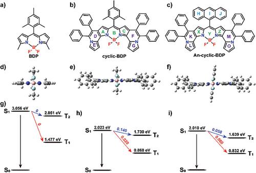 Construction and Properties of Strong Near-IR Absorption Photosensitizers