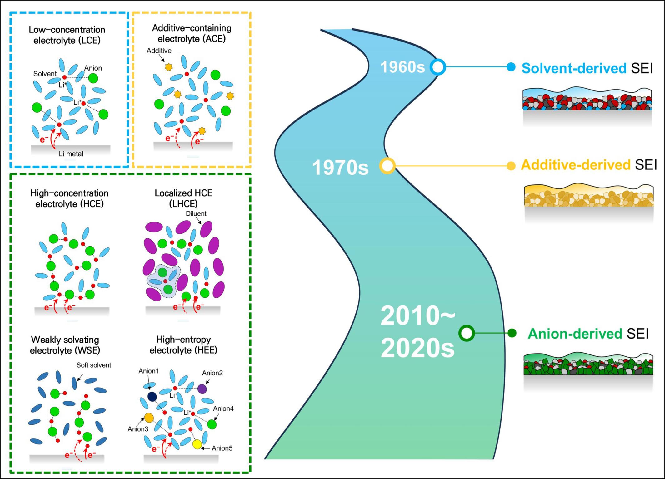 Modulation of Li+ microenvironment in liquid electrolyte for interface design of Li-metal anodes