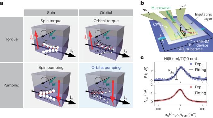 Observation of orbital pumping