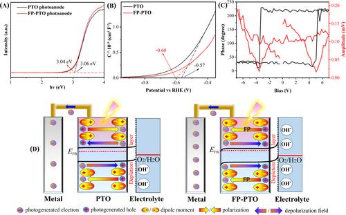 Directing the photogenerated charge flow in a photocathodic metal protection system with single-domain ferroelectric PbTiO3 nanoplates