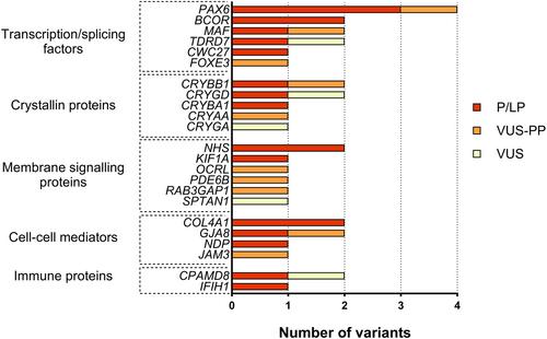 Novel molecular, structural and clinical findings in an Italian cohort of congenital cataract