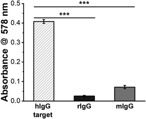 Growth-Induced Extinction Development of Gold Nanoclusters as Signal Transducers for Quantitative Immunoassays