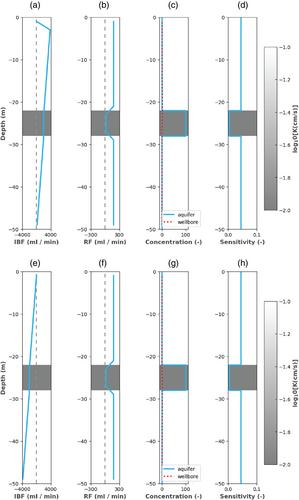 Sampling in Long-Screened Wells: Issues, Misconceptions, and Solutions