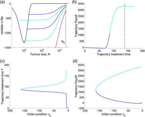 Optimising the tumour elimination payoff in cancer therapy