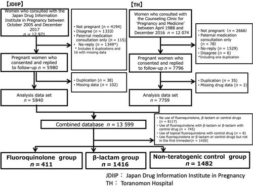 Pregnancy outcomes after first-trimester exposure to fluoroquinolones: Findings based on an integrated database from two Japanese institutions