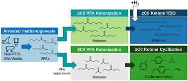 Catalytic upgrading of wet waste-derived carboxylic acids to sustainable aviation fuel and chemical feedstocks†