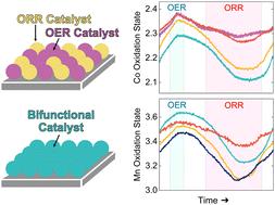 Designing bifunctional perovskite catalysts for the oxygen reduction and evolution reactions†