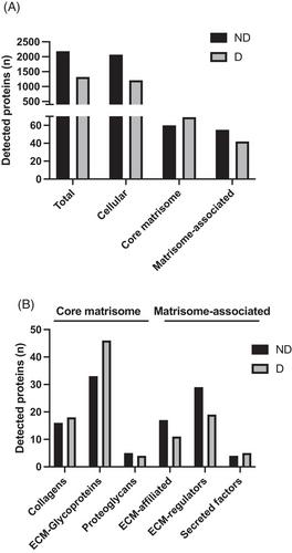 Benefits and limits of decellularization on mass-spectrometry-based extracellular matrix proteome analysis of mouse kidney