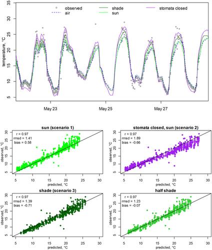 Fast, accurate and accessible calculations of leaf temperature and its physiological consequences with NicheMapR