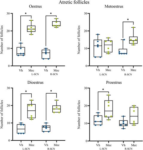 Pharmacologic blockade of nicotinic receptors in the suprachiasmatic nucleus increases ovarian atresia and inhibits follicular growth