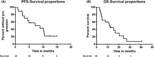 Retrospective study on pomalidomide-PACE as a salvage regimen in aggressive relapsed and refractory multiple myeloma