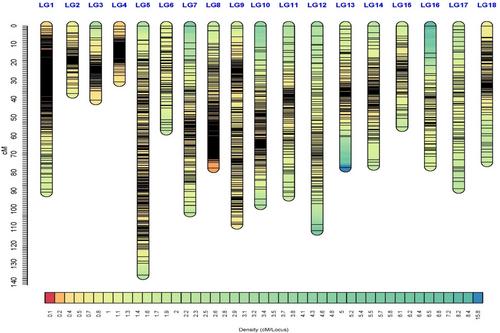 Construction of a high-density linkage map and QTL detection for growth traits in South African abalone (Haliotis midae)