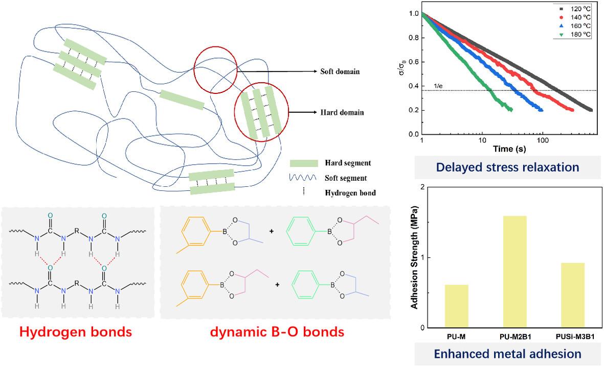 Silicone-containing polyurea elastomer possessing main-chain boron–oxygen bonds with delayed stress relaxation and improved adhesive properties