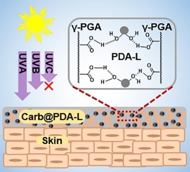 Bioinspired L-Lysine-Doped Polydopamine for Preventing and Treating UV-Induced Skin Damage