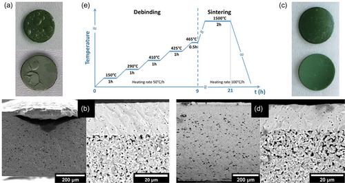 Designing a Cost-Effective and Sustainable Process for the Efficient Production of Planar Anode-Supported Solid Oxide Fuel Cells