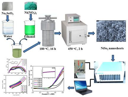 Three-Dimensionally Arranged NiSe2 Nanosheets as an Efficient Electrocatalyst for Methanol Electrooxidation Reaction