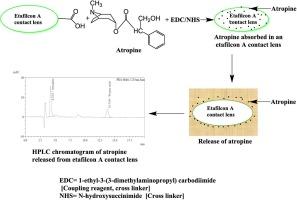 Absorption and attachment of atropine to etafilcon A contact lenses