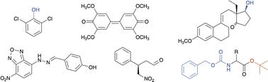 Concluding remarks: biocatalysis