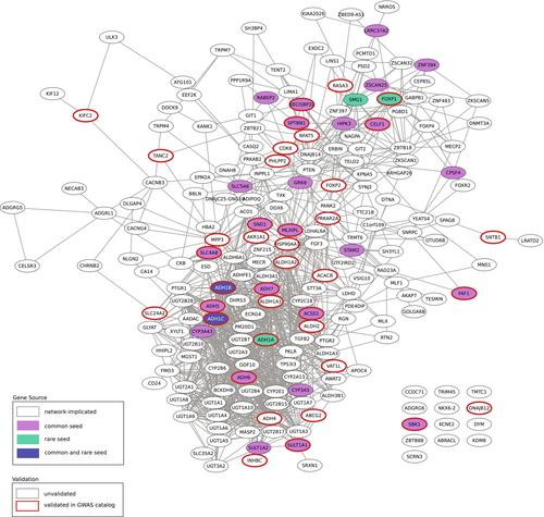 Rare and common variants associated with alcohol consumption identify a conserved molecular network