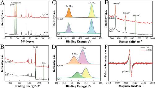 Defect Engineering and Piezoelectrical Polarization Synergistically Assisted for Photoelectrochemical Sensing Based on CdS Nanowires