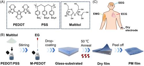 Self-adhesive and biocompatible dry electrodes with conformal contact to skin for epidermal electrophysiology