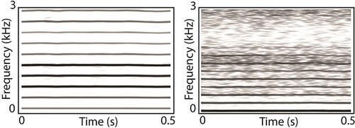 Voice disorder discrimination using vowel acoustic measures in female speakers