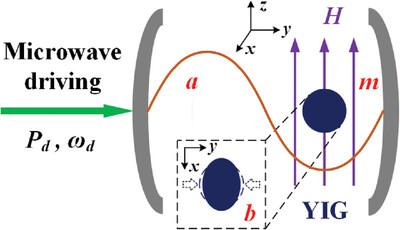 Magnon-Squeezing-Enhanced Phonon Lasering in Cavity Magnomechanics