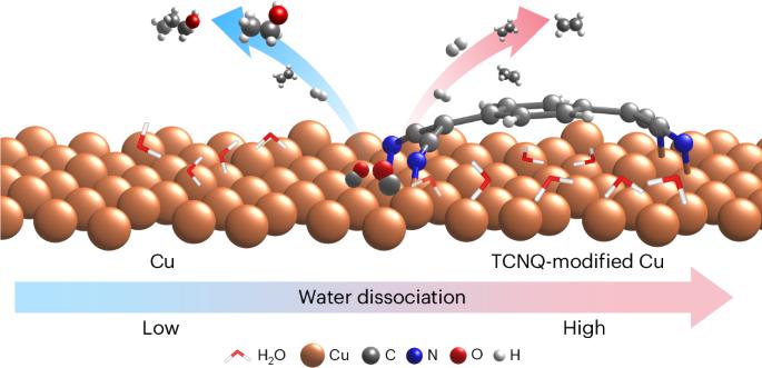 Efficient ethylene electrosynthesis through C–O cleavage promoted by water dissociation