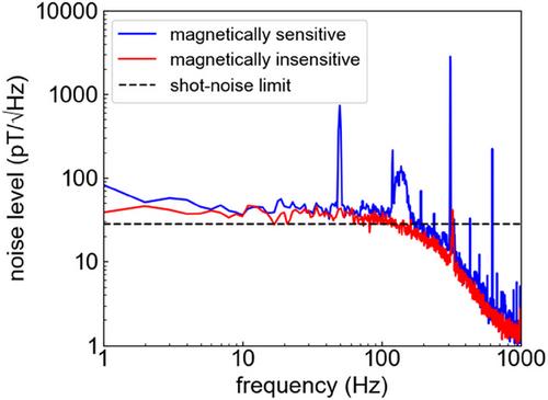 Compact and Stable Diamond Quantum Sensors for Wide Applications