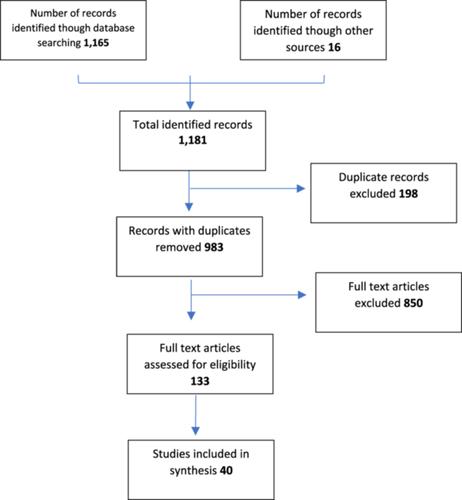 Healing and wellbeing outcomes of services for Aboriginal people based on cultural therapeutic ways: A systematic scoping review