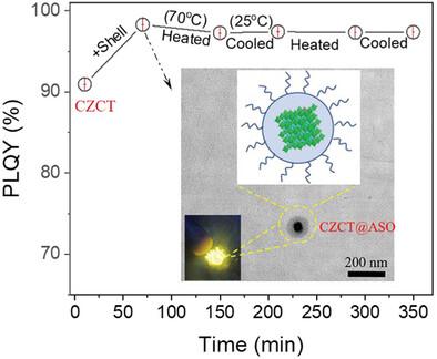 Comprehensive Defect Suppression in Te-Doped Cs2ZrCl6 Perovskite Nanoparticles for Highly Efficient and Thermally Stable White Light-Emitting Diodes