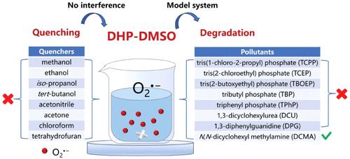 Identification of Superoxide Contribution through the Quenching Method and Model System