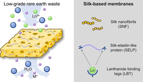 Reusable Silk-Based Mesoporous Membranes for Recovery of Rare-Earth Elements