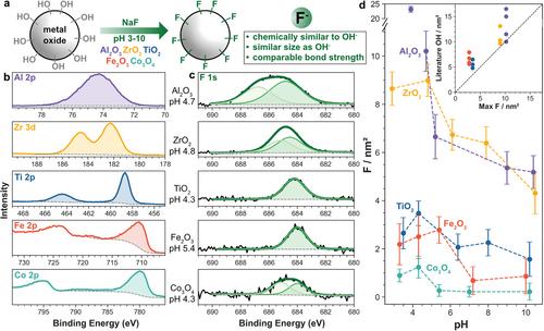 Fluoride Substitution: Quantifying Surface Hydroxyls of Metal Oxides with Fluoride Ions