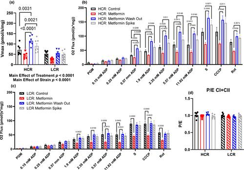 Metformin treatment results in distinctive skeletal muscle mitochondrial remodeling in rats with different intrinsic aerobic capacities