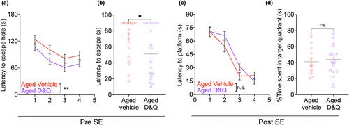 Prophylactic senolytic treatment in aged mice reduces seizure severity and improves survival from Status Epilepticus