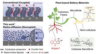 Stretchable and biodegradable plant-based redox-diffusion batteries†