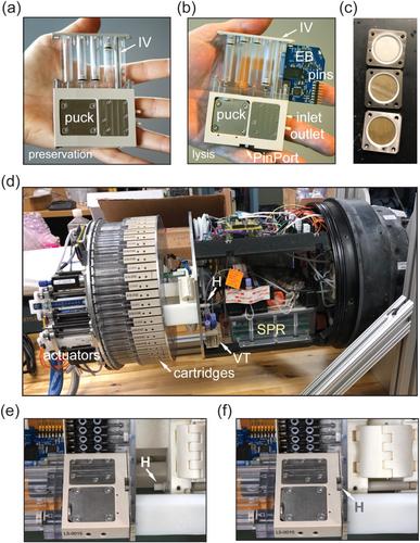 Underway measurement of cyanobacterial microcystins using a surface plasmon resonance sensor on an autonomous underwater vehicle