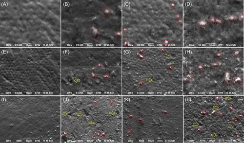 Effect of air-abrasion pretreatment with three desensitizing agents on efficacy of in-office tooth bleaching