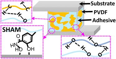 Salicylhydroxamic acid containing structural adhesive†