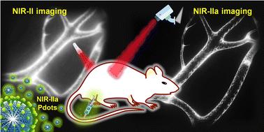 The luminous frontier: transformative NIR-IIa fluorescent polymer dots for deep-tissue imaging