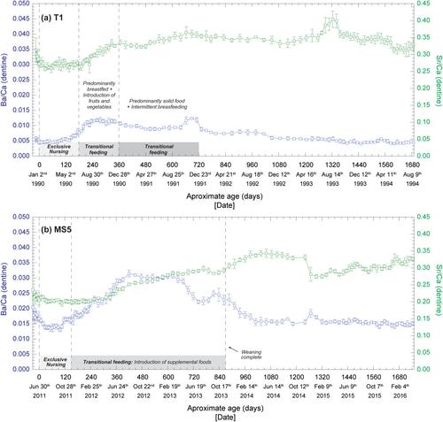 Brief communication: New method for measuring nitrogen isotopes in tooth dentine at high temporal resolution