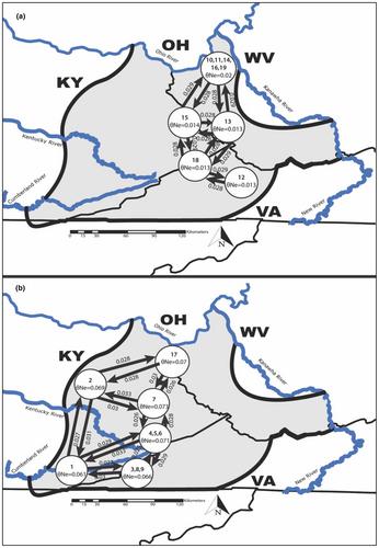 Hard edges, soft edges, and species range evolution: A genomic analysis of the Cumberland Plateau salamander