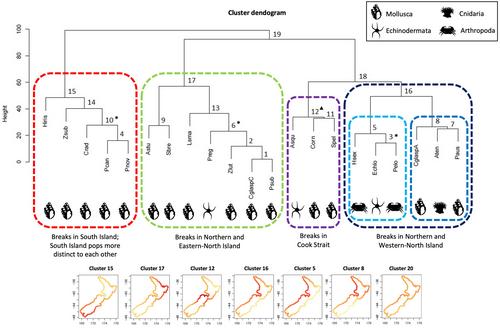 Concordance and drivers of marine spatial structure determined using genogeographic clustering