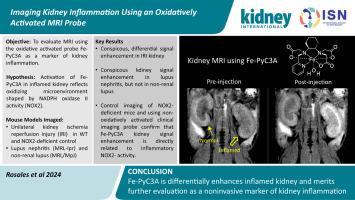 Imaging kidney inflammation using an oxidatively activated MRI probe