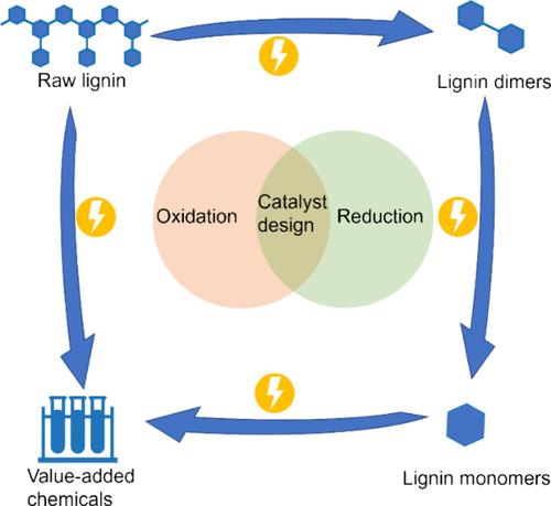 Recent Progress in Electrocatalytic Conversion of Lignin: From Monomers, Dimers, to Raw Lignin