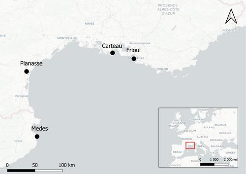 No detrimental effects of wing-harnessed GPS devices on the breeding performance of Yellow-legged Gulls (Larus michahellis): A multi-colony evaluation