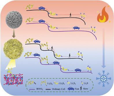 Accelerating the Rate-Determining Steps of Sulfur Conversion Reaction for Lithium-Sulfur Batteries Working at an Ultrawide Temperature Range